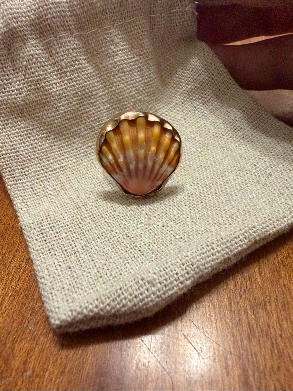 Sunrise Shell Hawaiian Statement Ring in Gold fill size 8 1/2